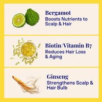 Invigorating Shampoo For Thinning & Ageing Hair Bergamot, Biotin, Ginger & Ginseng