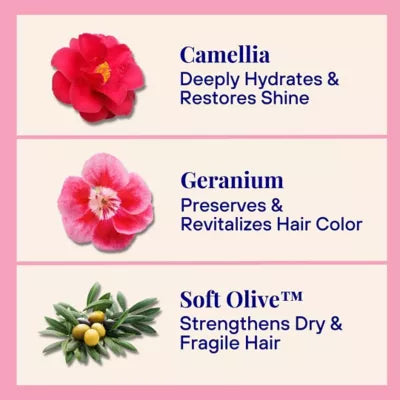 Hydrating Shampoo For Dry & Fragile Hair Camellia & Geranium