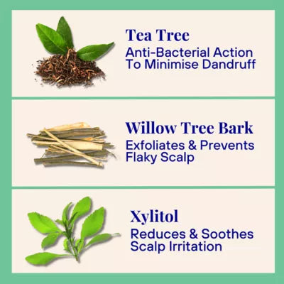 Exfoliating Shampoo For Loose Dandruff Flakes Tea Tree & Salicylic Acid
