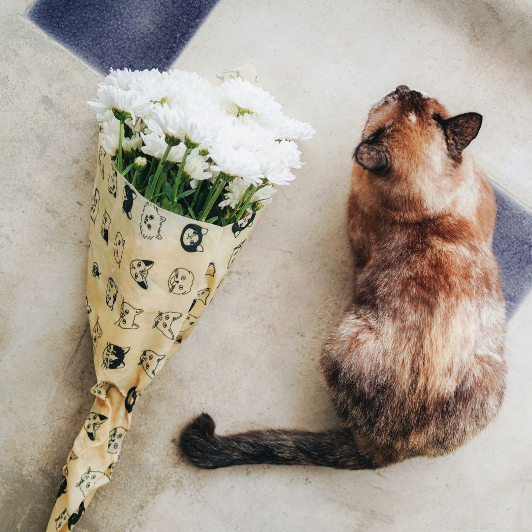 Zero-Waste Valentine’s Day: 10 Creative and Sustainable Ways to Celebrate Love